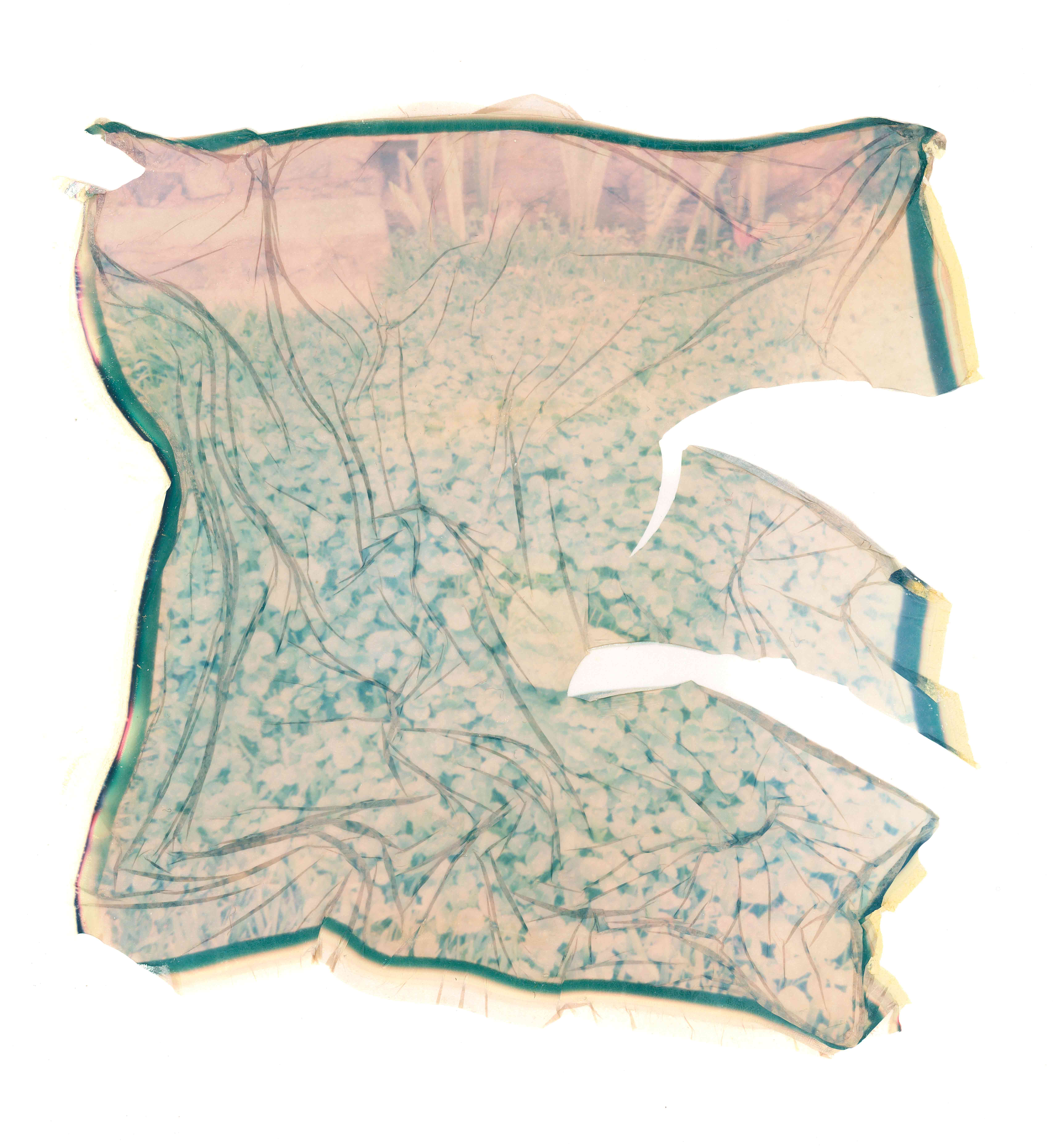 César Augusto Ramírez. S/T (11), 2021. Polaroid emulsion on watercolor paper. 11.50 × 12 cm